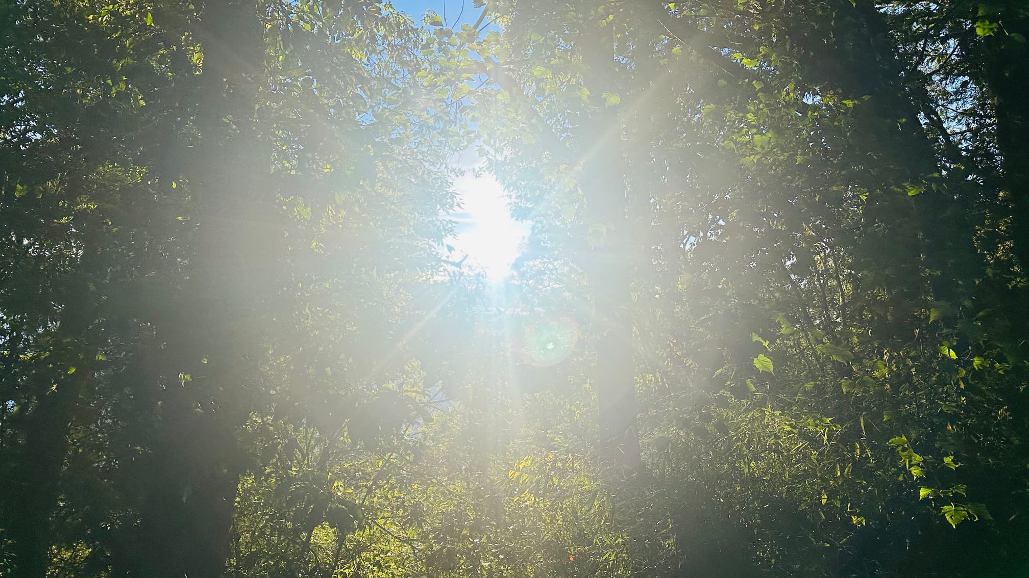 Reflection vs Prediction: A Modern Approach